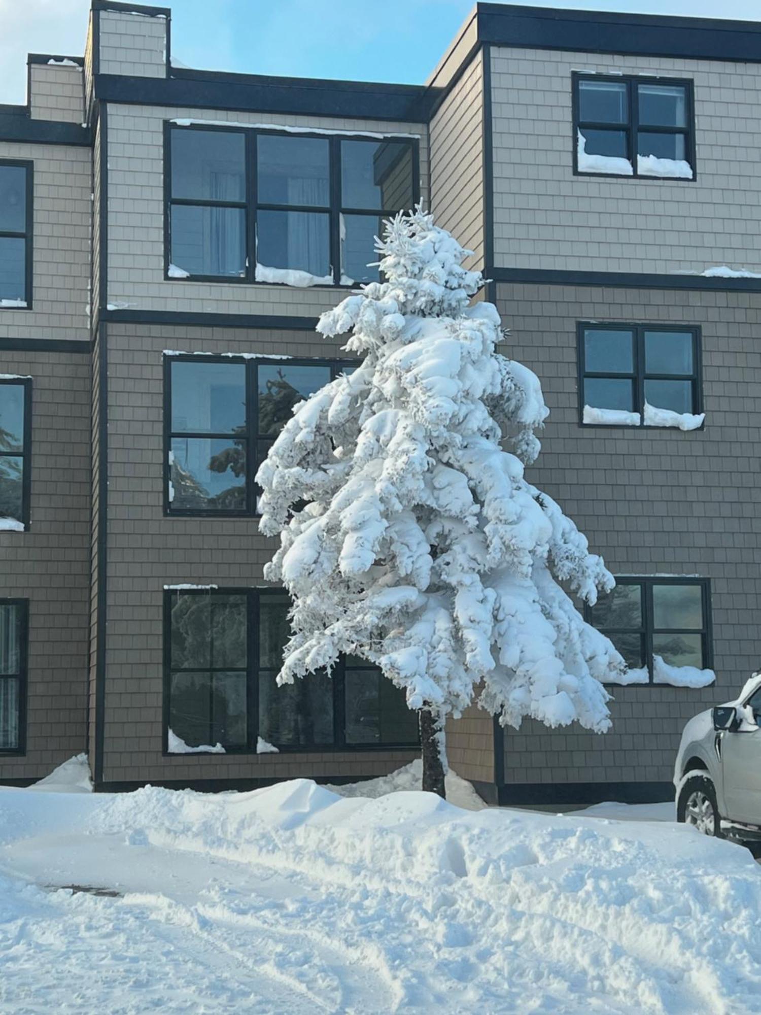Snowcrest Condo Walking Distance To Slopes Сноушу Экстерьер фото